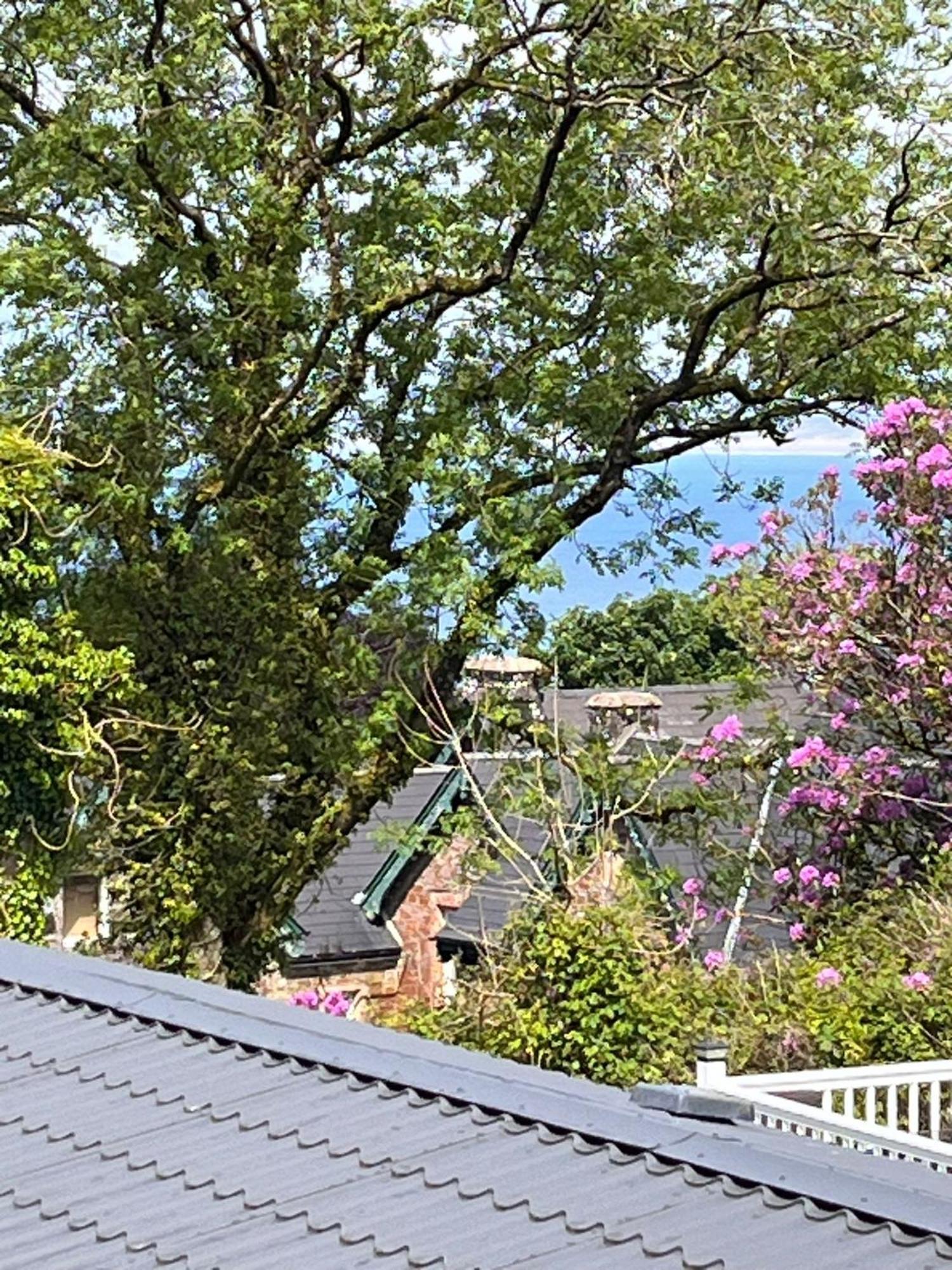 Bucks Mills Ocean View At Glade 아파트 외부 사진